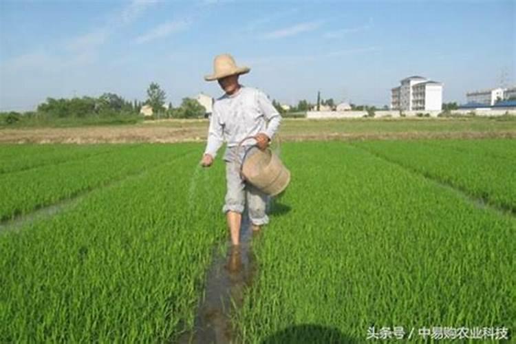 钾肥和磷肥分别是什么颜色的？