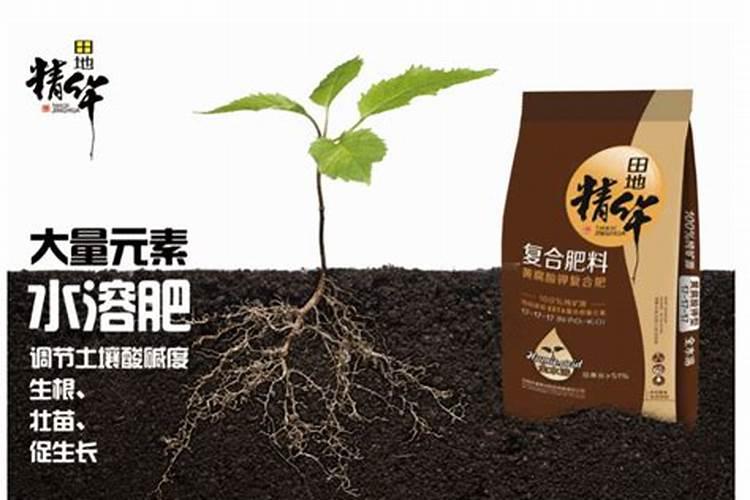 多效唑的主要功能是什么？已在哪些作物上使用