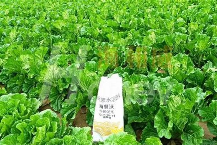 颗粒水溶肥有什么成分？大棚黄瓜用合适吗？