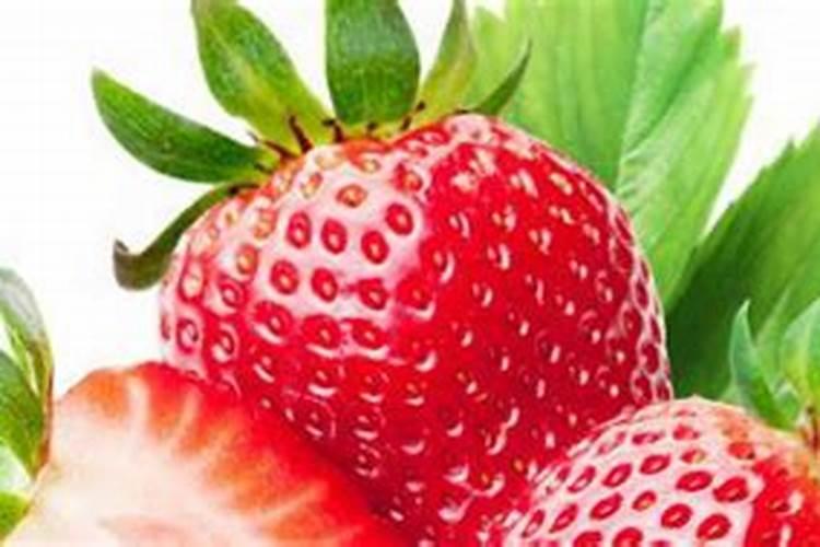 生姜追肥用什么肥料好