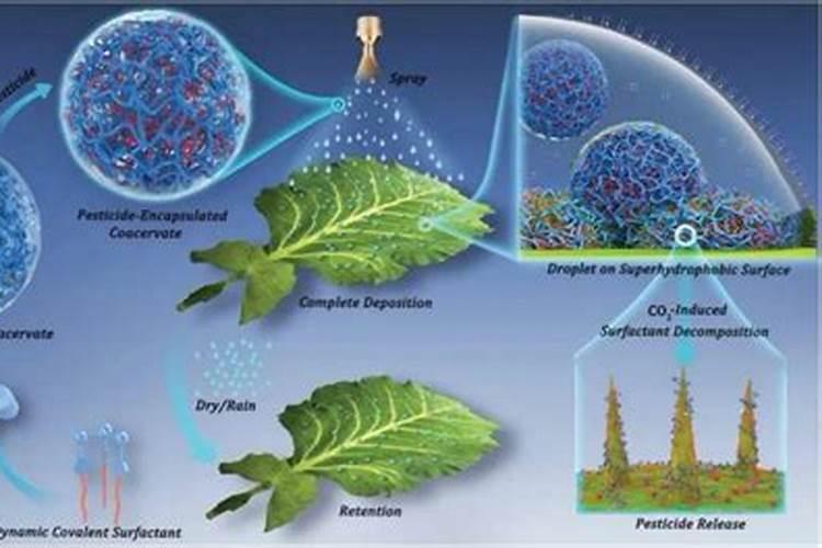 提升细菌农药效果的关键策略：从科学原理到实践应用？