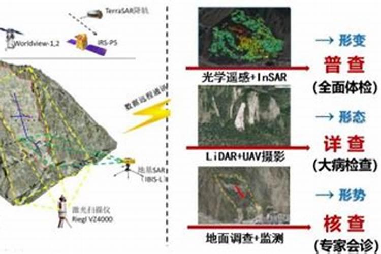 桔小实蝇防治全攻略：从识别到根除的科学方法？