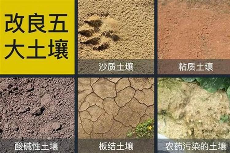 土壤变成红色和绿色是啥原因？
