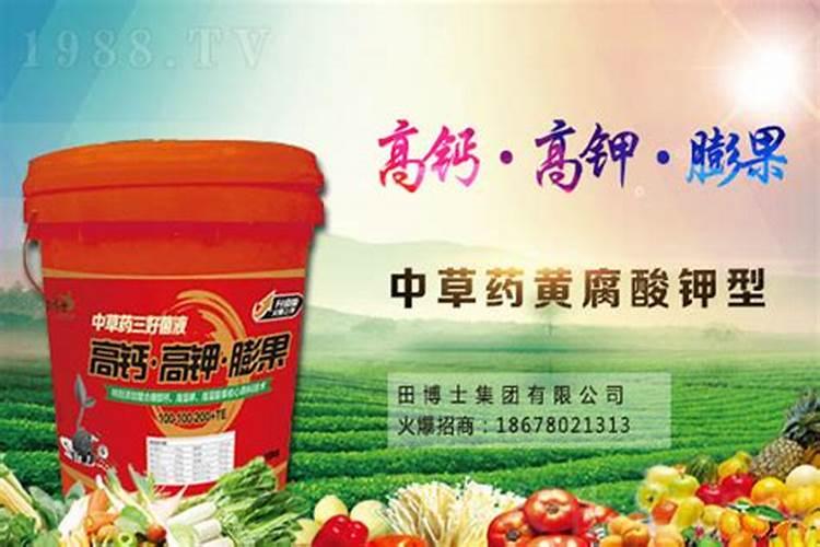 微肥正确使用指南：提升植物健康与生长的秘诀