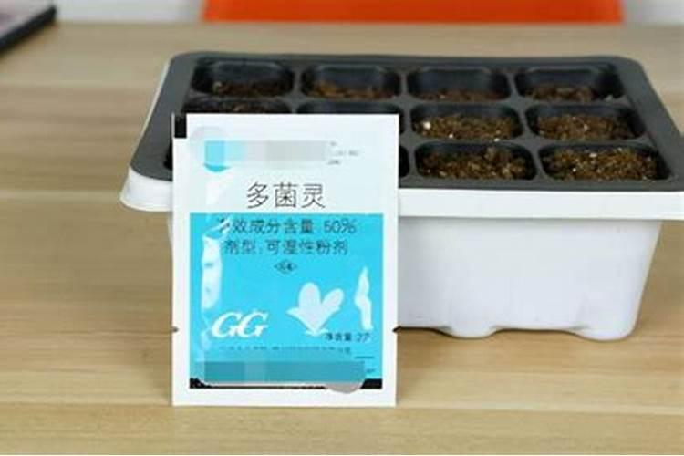 多菌灵的正确使用方法与注意事项详解？