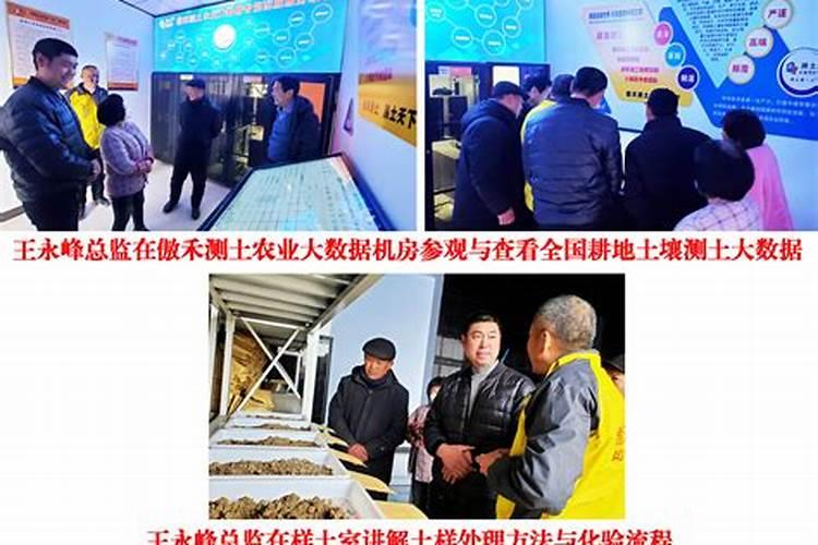 傲禾蓝莓专用肥好么？