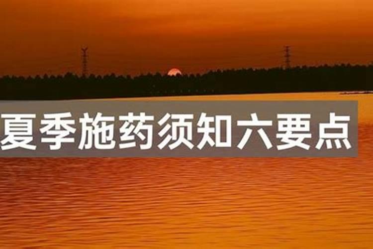 天气与农药施用：农业实践中的智慧