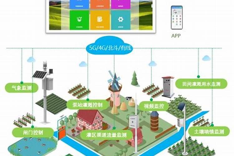 田间智慧：以“五注意