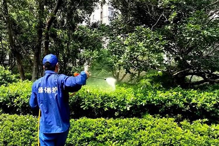 警惕！农药喷洒安全不容忽视
