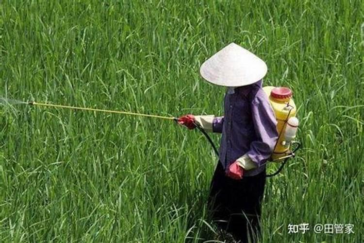 警惕！农药喷洒安全不容忽视