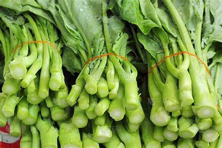 梅州芥菜无公害栽培要点