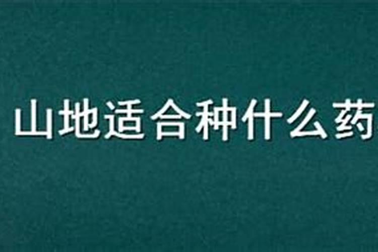 高山绿色宝库：山地适宜种植的药材与树木