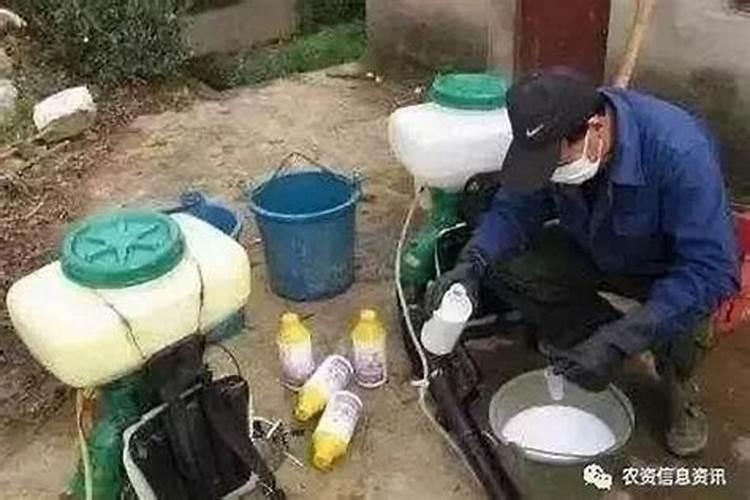 警惕！农药混用需谨慎，安全与效果并重？