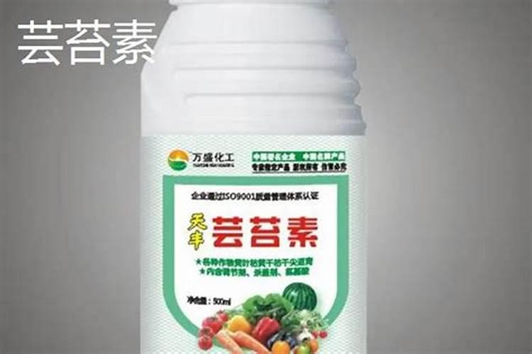 芸苔素和胺鲜酯可以混配吗？怎么用？