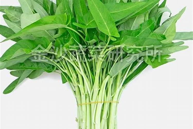 空心菜叶背长突起的瘤状颗粒，怎样防治？