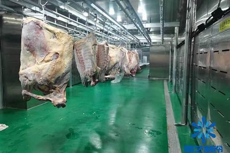 农产品预冷过程的关键注意事项：确保食品安全与品质