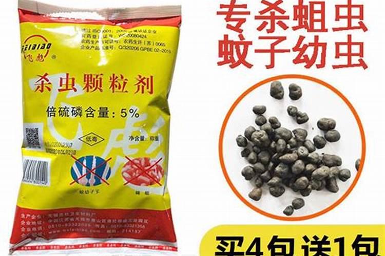 杀蛆特效药全解析：附蛆的基本介绍与综合防治策略