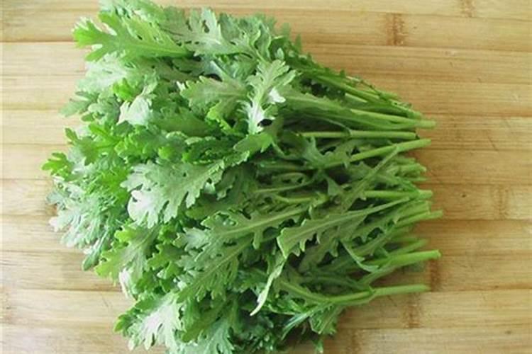 茼蒿菜的守护战：识别与防治病虫害全攻略