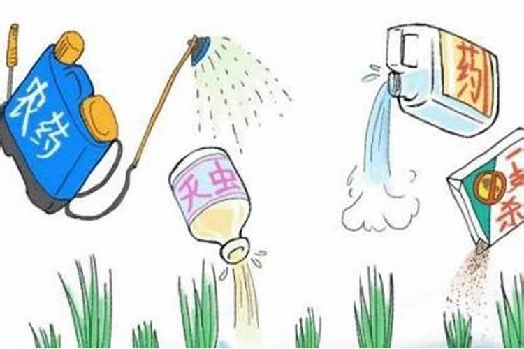 守护绿色生命线：了解农药的安全间隔期