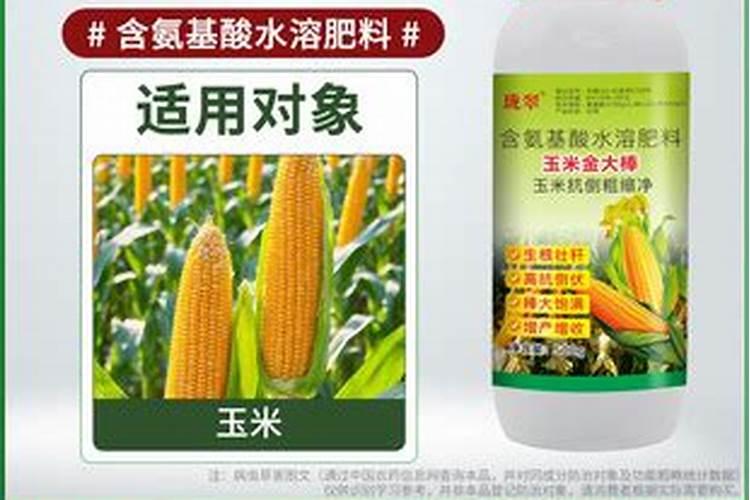 叶面肥的高效应用：提升植物营养吸收与生长质量