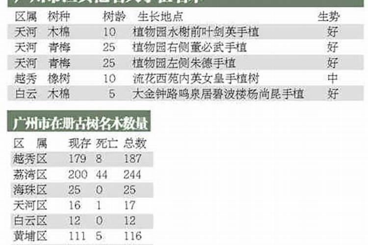 古树名木衰老死亡？原因在这！