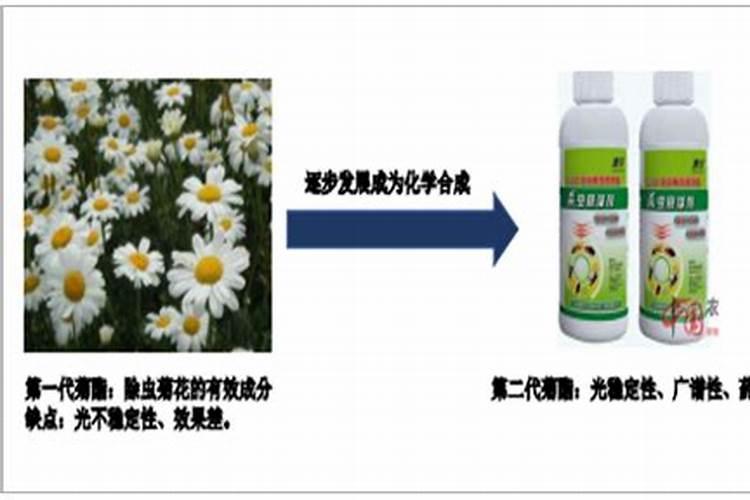 茶园守护者：拟除虫菊酯农药的科学依据与应用