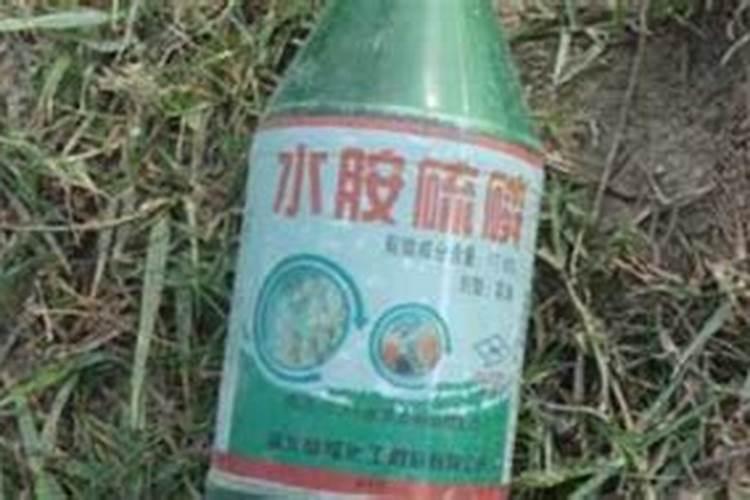 水胺硫磷的正确使用与注意事项：保障安全，提高效率