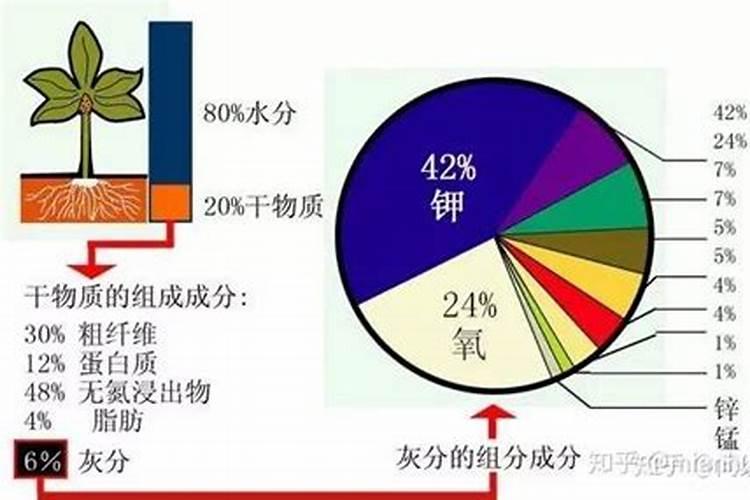 作物需要的营养元素有哪些？都需要施肥来解决？