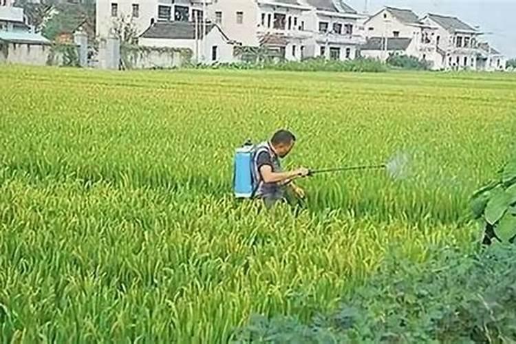 如何增加农药的防虫效果？