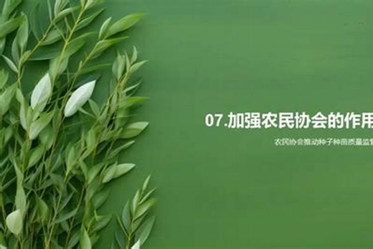 守护绿色宝藏：大豆子叶期的药剂防除策略