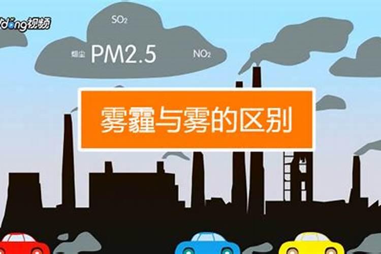 八招教你如何应对温室的雾霾天？