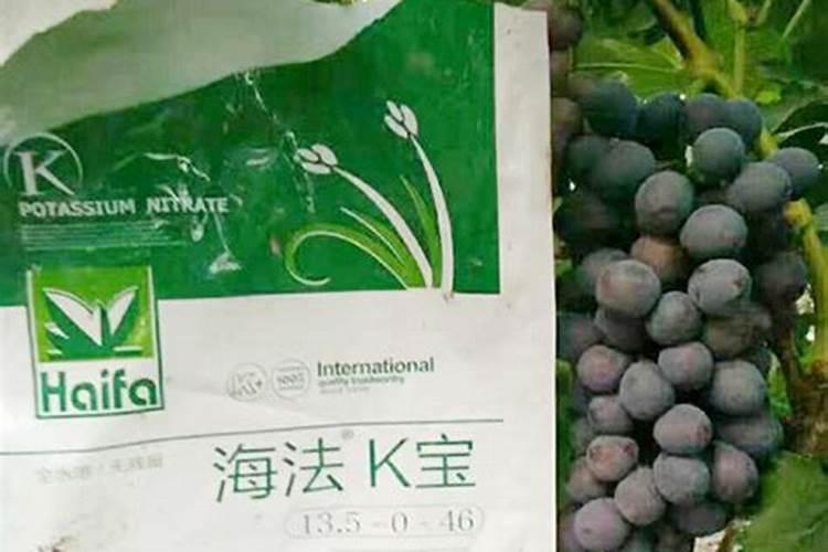 钙钾宝水溶肥怎样使用效果好？