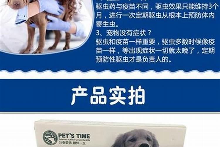 驱虫药的正确使用：确保安全与效果？