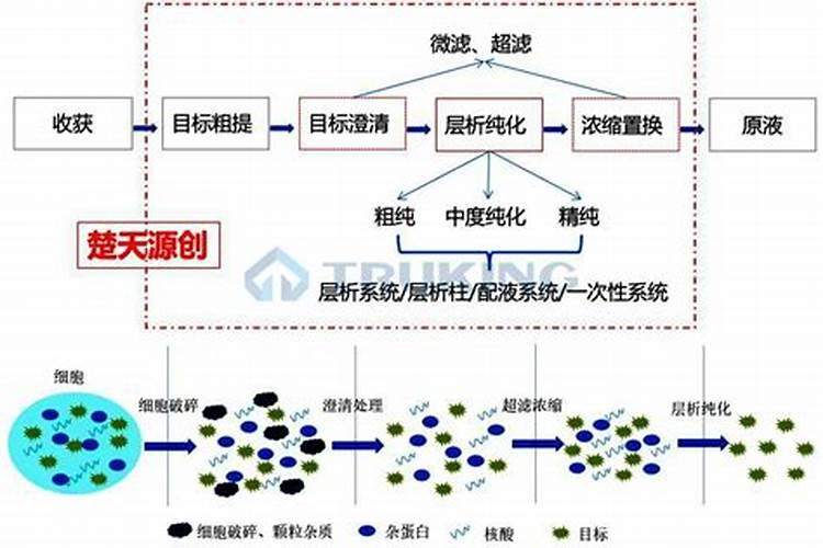 田野守护者的智慧：掌握农药的16种使用秘籍