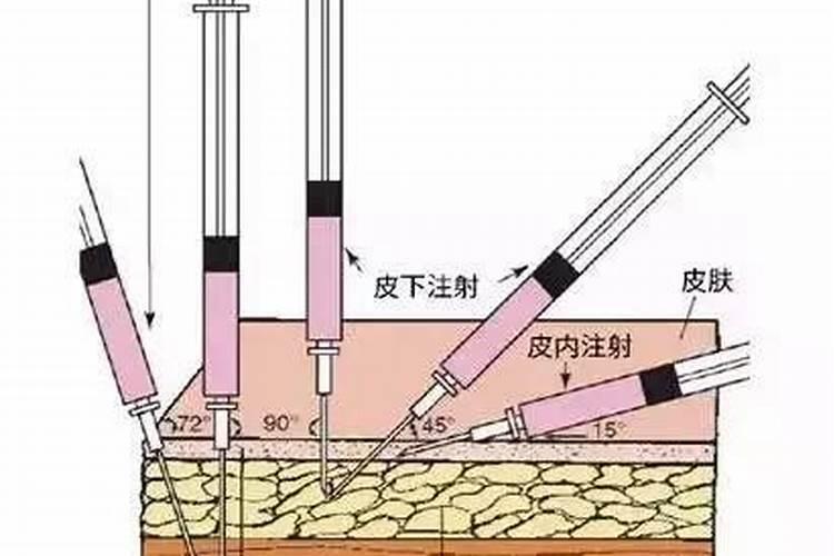 田野守护者的智慧：掌握农药的16种使用秘籍