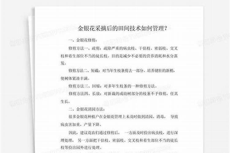 金银花采摘后的田间技术管理
