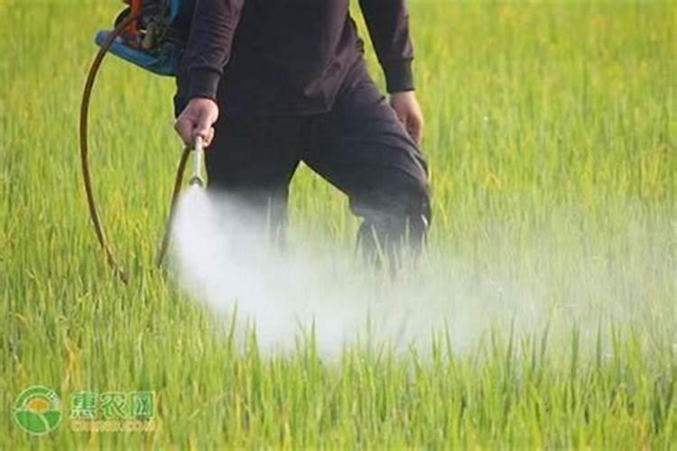 提升农药效用的关键步骤：智慧与科技在农业中的融合