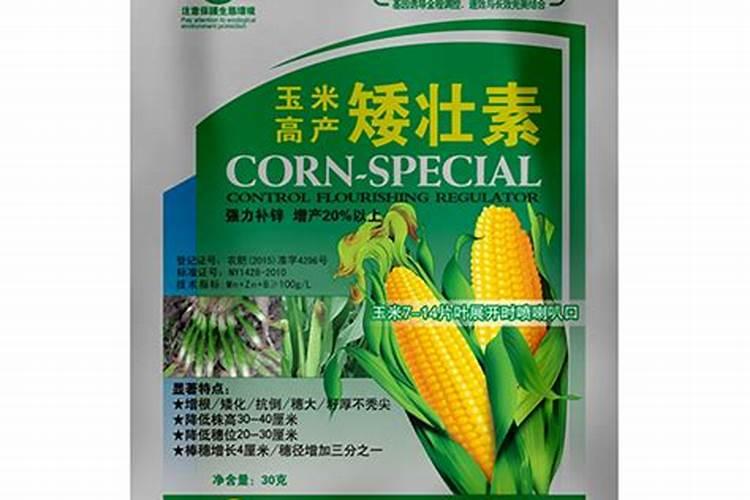 玉米健壮素：使用方法与技巧全解析？