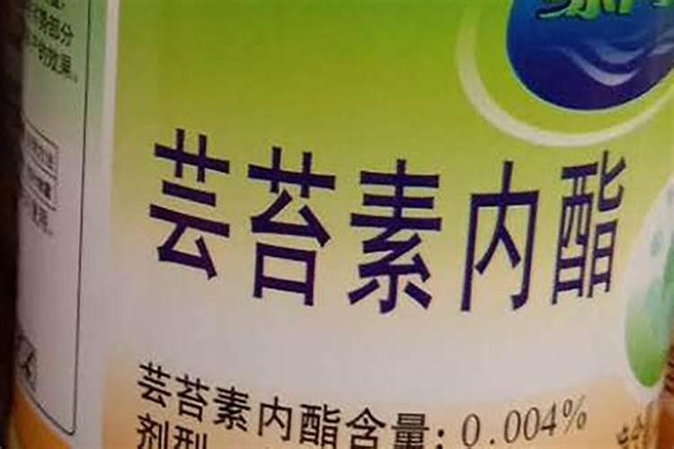 芸苔素内酯可以和醋混用吗怎么用？