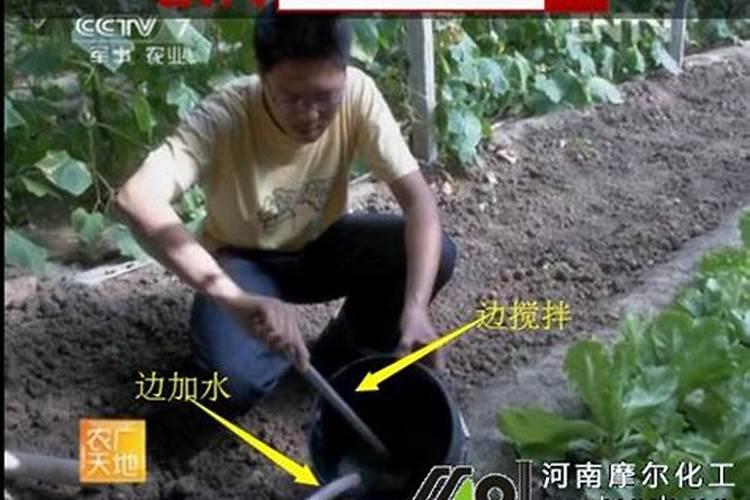 复合水溶肥稀释浓度多少倍合适？