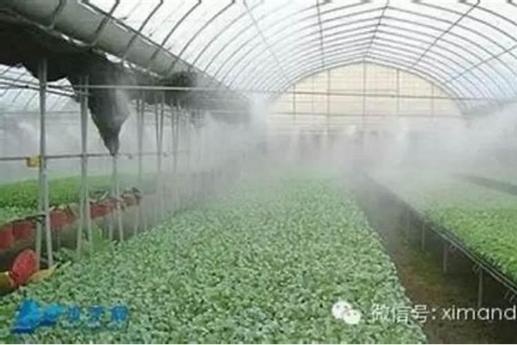 复合水溶肥稀释浓度多少倍合适？