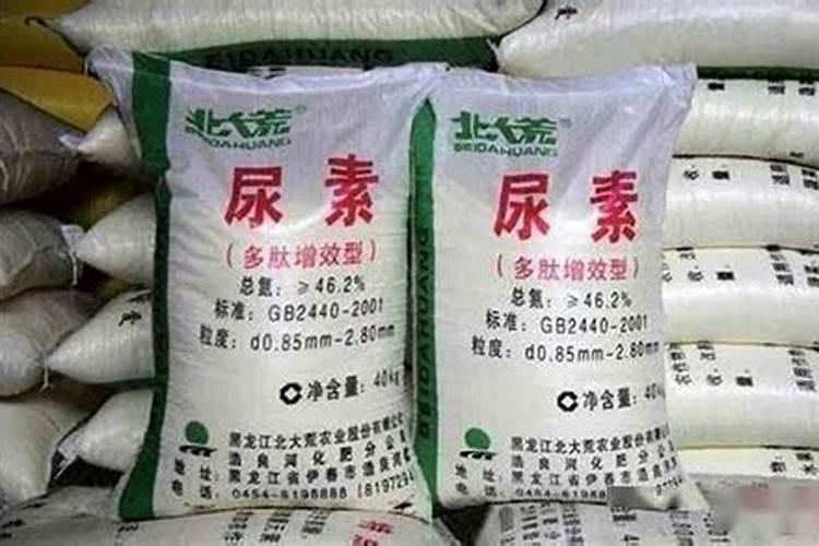 氮钙肥是尿素吗为什么呢？
