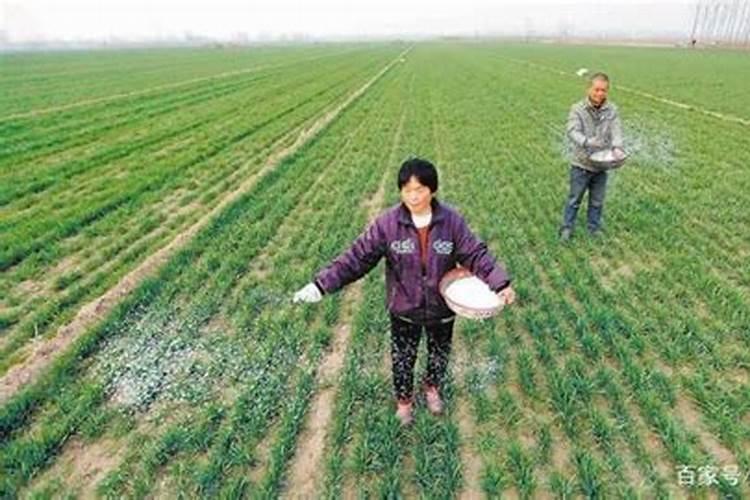 种地为什么要施肥？