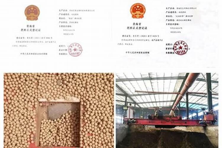 绿色守护者：节省农药的四大技术策略