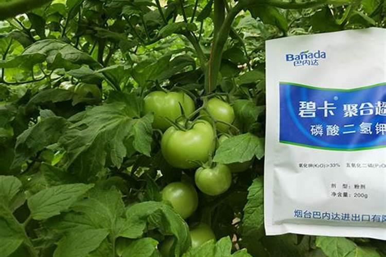 磷钾肥和白醋的区别在哪里呢？