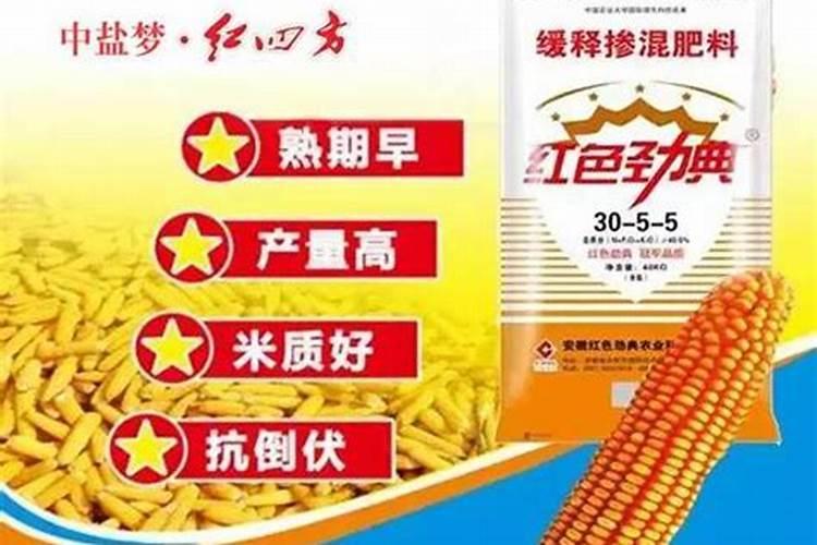 揭秘土壤盛宴：玉米施肥氮磷钾比例的黄金法则