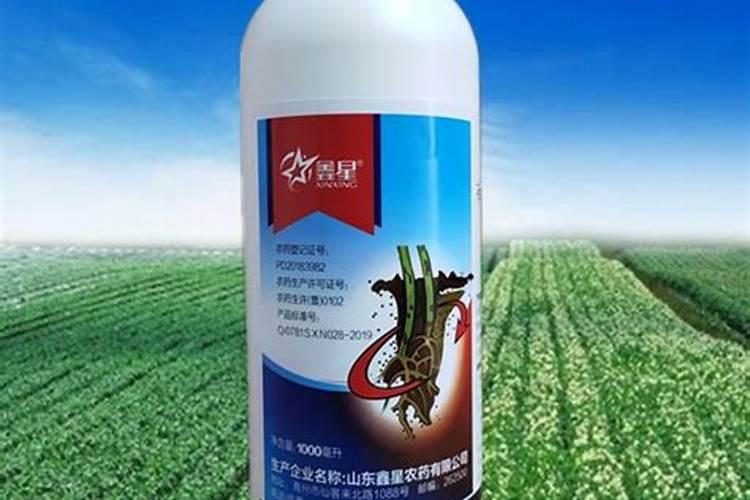 警惕隐患：噻唑膦灌根药害风险解析