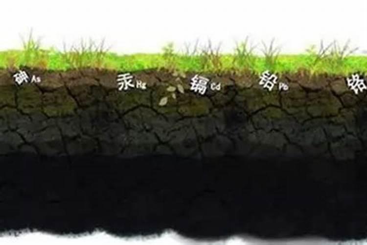 不当施肥易引起的肥害有哪些？