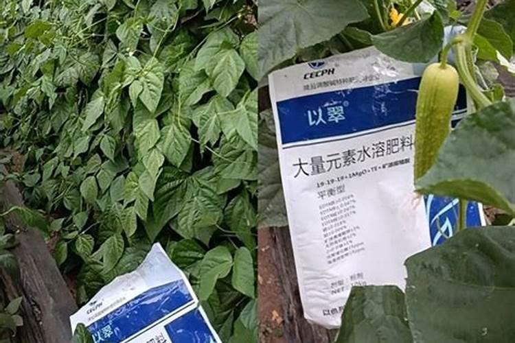 水溶肥可以拉沟散施吗农村土地？