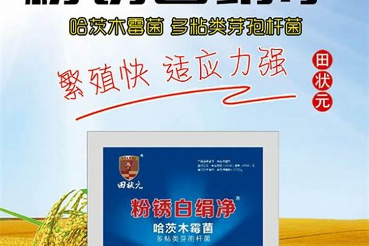 守护绿色田野：玉米杀虫剂的正确防治与使用要点